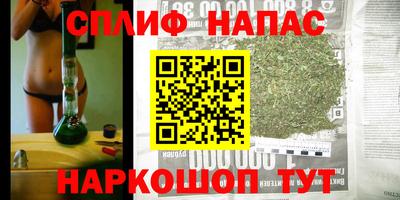 крисы Беслан