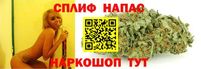 крисы Беслан
