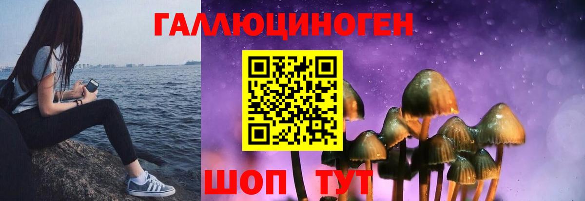 Зеленокумск  Галлюциногенные грибы Magic Shrooms  Вход с VPN 